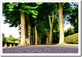 allee