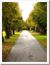 allee