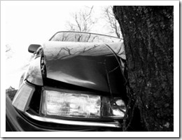 baumcrash
