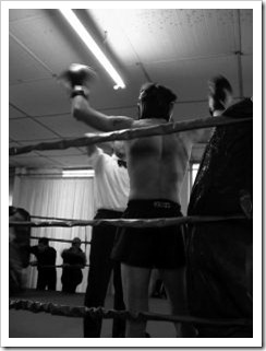 boxer