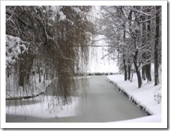 eisfluss