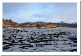 eissee