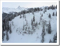 Quelle: Sicherheitsdirektion Vorarlberg