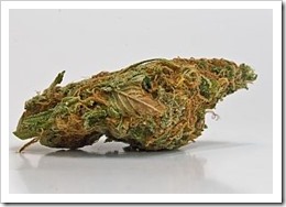 marihuana