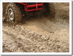 quad