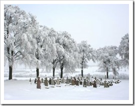 schneegrab