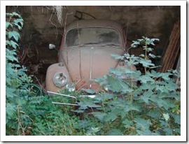 vw