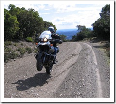 wheeliee